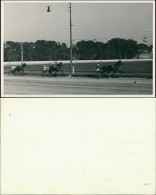 Echtfoto Galopprennbahn, Pferde Sport, Ort Unbekannt 1950 Privatfoto - Horse Show