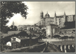 CPSM - Italie - Urbino - Panorama - Urbino