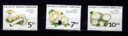 Groenland - 2006 -  Champignons - Neufs** - MNH - Neufs