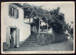 Portugal - 1929 - Madeira - From The Road To Comacha - Madeira