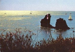 *CPM - 34 - AGDE - Cap D'Agde - Le Rocher Des Frères Jumeaux - Agde