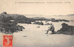 22-PLESTIN LES GREVES-N°440-D/0055 - Plestin-les-Greves