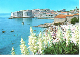 YOUGOSLAVIE : DUBROVNIK - Yougoslavie