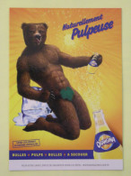 OURS - Carte Publicitaire Pour Orangina / Bouteille / Glaçon - Bären