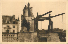 Postcard France Chenonceaux Castle - Chenonceaux