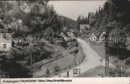 71955808 Saupsdorf Saupsdorf Kirnitzschtal - Kirnitzschtal