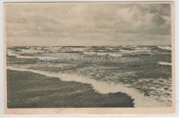 Palanga, Jūra, Apie 1930 M. Atvirukas - Lituanie