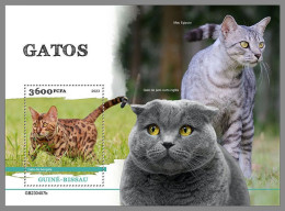 GUINEA-BISSAU 2023 MNH Cats Katzen S/S – OFFICIAL ISSUE – DHQ2422 - Katten