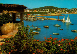 83 , Cpm  SANARY Sur MER , Perspective Sur Le Port , 2 269  (13041) - Sanary-sur-Mer