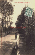 CPA SEZANNE - MARNE - ALLEE DU RU - Sezanne