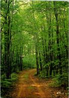 31-5-2024 (6 Z 40) France - Sous Bois En Gâtine - Trees