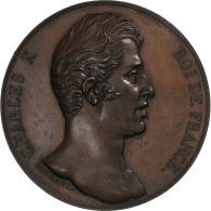 France, Médaille, Charles X, Voyage En Moselle, 1828, Cuivre, Michaut, SUP - Altri & Non Classificati