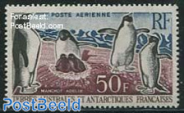 French Antarctic Territory 1962 Penguin 1v, Unused (hinged), Nature - Science - Birds - Penguins - The Arctic & Antarc.. - Nuevos
