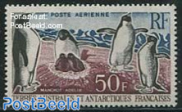 French Antarctic Territory 1962 Penguin 1v, Unused (hinged), Nature - Science - Birds - Penguins - The Arctic & Antarc.. - Unused Stamps