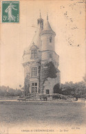 37 CHENONCEAUX LE CHÂTEAU - Chenonceaux