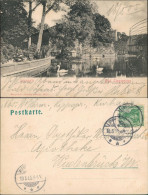 Ansichtskarte Bad Lippspringe Lippe-Quelle Partie Mit Weiher & Schwänen 1905 - Bad Lippspringe