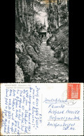 Küssnacht Am Rigi Umlandansicht, Hohle Gasse, Blick Auf Kapelle 1961 - Other & Unclassified