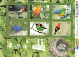 BLOC NEUF MNH LUBRAPEX OISEAUX BIRDS 2009 - Blokken & Velletjes