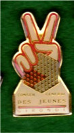 PIN'S ÉPOXY " CONSEIL GÉNÉRAL DES JEUNES GIRONDE " MAIN _DP41 - Administrations