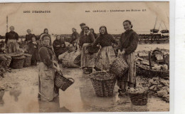 Cancale L'emballage Des Huitres - Cancale