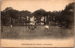 (31/05/24) 78-CPA LE VESINET - Le Vésinet