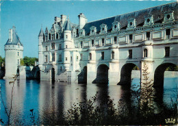 37 CHENONCEAUX - Chenonceaux