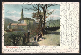 AK Weesenstein, Blick Auf Das Schloss  - Weesenstein A. D. Müglitz