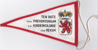 REKEM-KINDERKOLONIE-PREVENTORIUM-LIMBURGSE LEEUW-LIONS CLUB-FIETS-VLAGJE-12 OP 21 CM-ORIGINEEL-ALS NIEUW-ZIE 2 SCANS ! - Lanaken