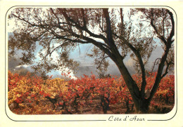 MEDITERRANEE COTE D'AZUR LEVER DU JOUR - Provence-Alpes-Côte D'Azur