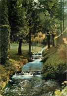 BELGIQUE CASCADE DU ROUILLON JARDINS D'ANNEVOIE  - Sonstige & Ohne Zuordnung