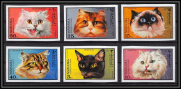 Manama - 3429/ N°585/590 B Chats Cats Non Dentelé Imperf Neuf ** MNH - Domestic Cats