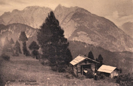 1915-Cadore Sotto L'Ajrnola Animata - Belluno