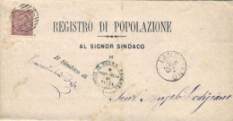 1882-stampato Affrancato 2c.Cifra Annullo A Linee Cerchio Grande "Landriano"(pt. - Poststempel