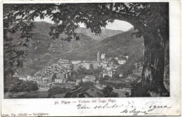 1905-IMPERIA Pigna Veduta Dal Lago Pigo, Viaggiata - Imperia