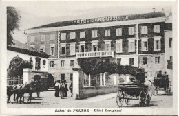 1910circa-Belluno Saluti Da Feltre Hotel Doriguzzi - Belluno