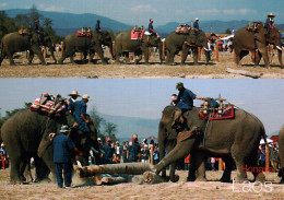 CPM - LAOS - SAYSABOURY - The Elephant Festival Hongsa ... Edition TDN - Laos