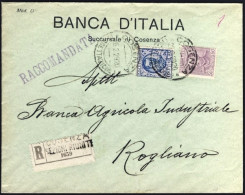 1929-raccomandata Della Banca D'Italia Succursale Di Cosenza Per Rogliano Affran - Marcophilie