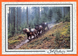 88 Ambiance Du Massif Vosgien Debardage Avec Les Chevaux Bois Vieux Metiers Carte Vierge TBE - Kunsthandwerk