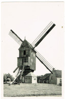 Aartselaar , Molen - Aartselaar