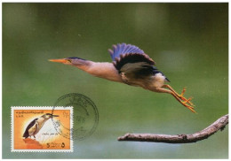 LIBYA 1976 Birds Bird "Little Bittern" (maximum-card) #1 - Aves Gruiformes (Grullas)