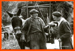 Vieux Métiers Paysans Charette Foin Cheval Fenaison Carte Vierge TBE - Landbouwers