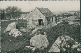 50 ILE CHAUSEY - Les Maisons De Pecheurs - CPSM TTB - Autres & Non Classés