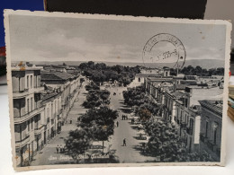 Cartolina San Severo Provincia Foggia ,corso Garibaldi 1955 - Foggia