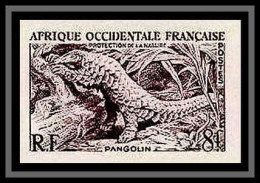 90980 Afrique Occidentale AOF Scott 63 N°52 Pangolin Anteater Couleurs Essai (proof) Non Dentelé Imperf ** MNH  - Unused Stamps