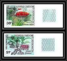 91770e Nouvelle-Calédonie 210/211 Brosse à Dent Geissois Pruinosa Fleur Flower Non Dentelé ** MNH (Imperforate) - Non Dentelés, épreuves & Variétés