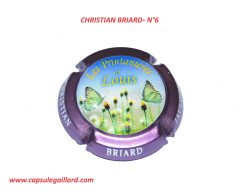 CAPSULE DE CHAMPAGNE - CHRISTIAN BRIARD N°6 - Colecciones