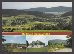 087996/ HELLEFELD - Sundern