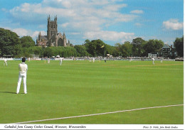 WORCESTER CRICKET GROUND, WORCESTER, ENGLAND. UNUSED POSTCARD  Nd4 - Cricket