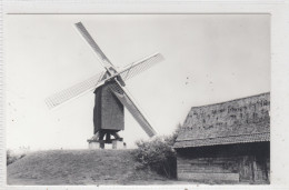 Oostvleteren. Demeestermolen. * - Vleteren