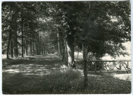 Cp A Saisir 22 Noviciat Des Chatelets Ploufragan Une Allee Du Parc 1957 Saint Brieuc - Ploufragan